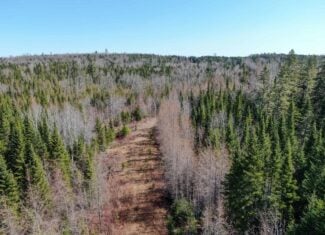 237 Acres of Prime Northern Maine Woods Land