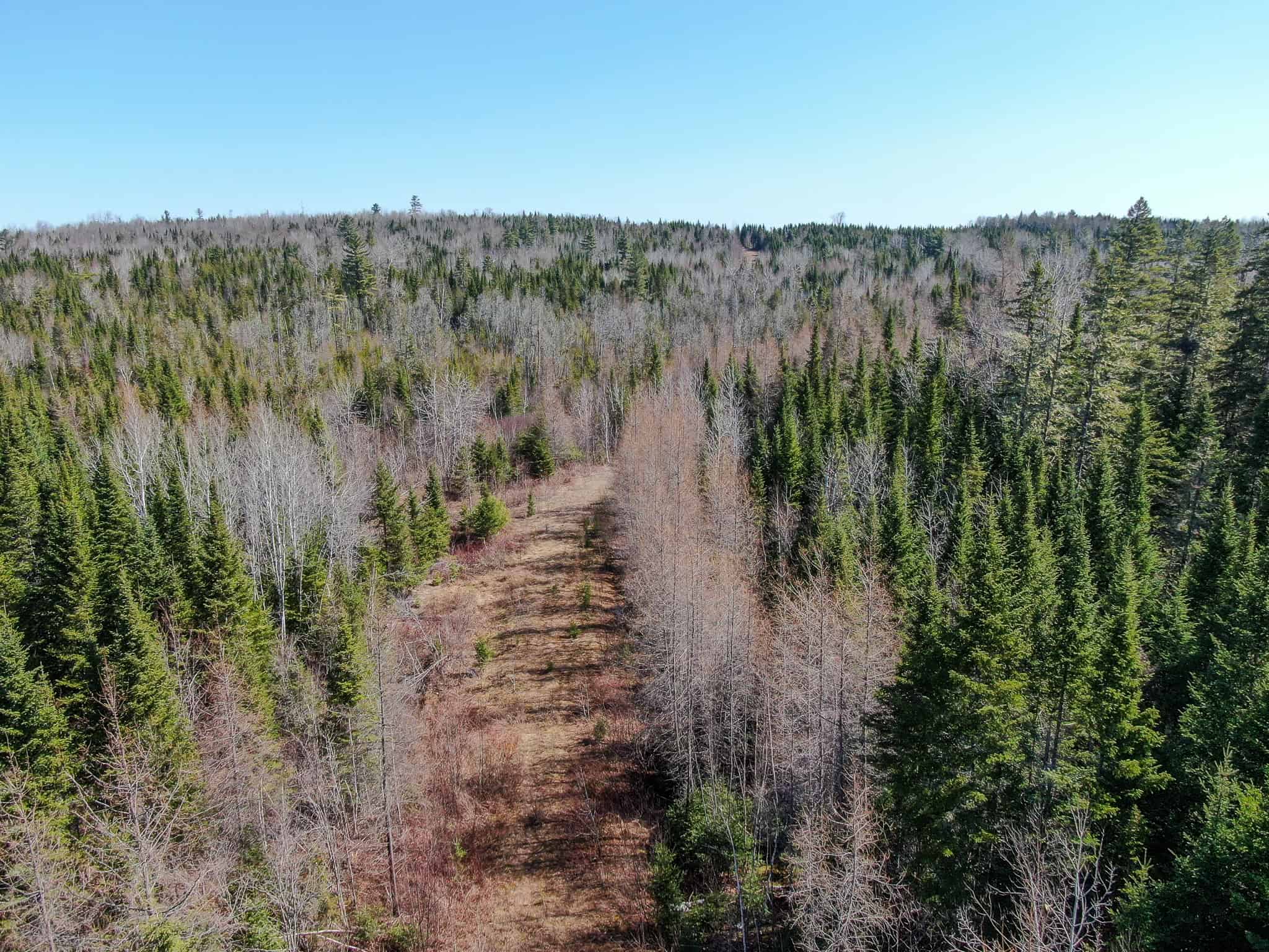 237 Acres of Prime Northern Maine Woods Land