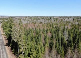 237 Acres of Prime Northern Maine Woods Land
