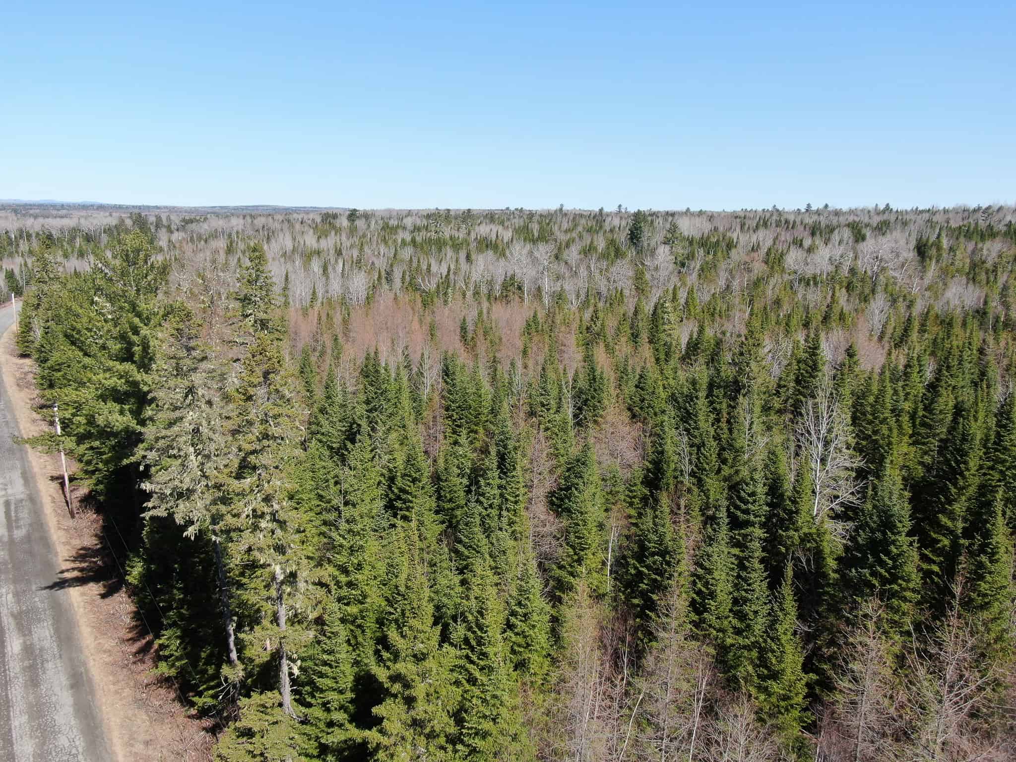 237 Acres of Prime Northern Maine Woods Land