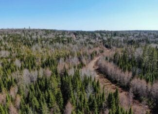 237 Acres of Prime Northern Maine Woods Land