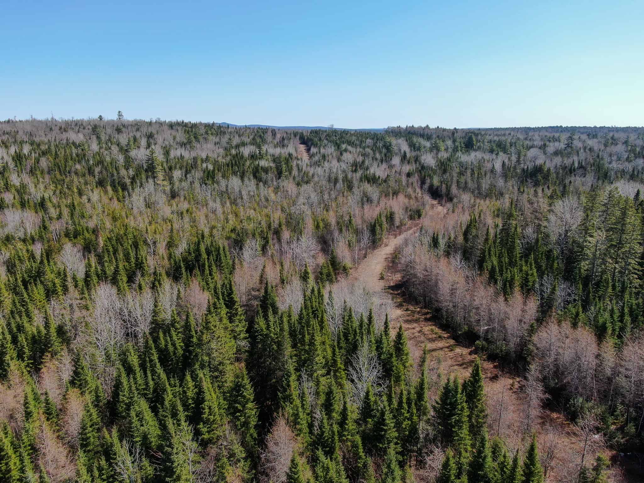 237 Acres of Prime Northern Maine Woods Land