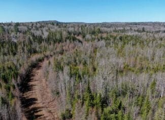 237 Acres of Prime Northern Maine Woods Land