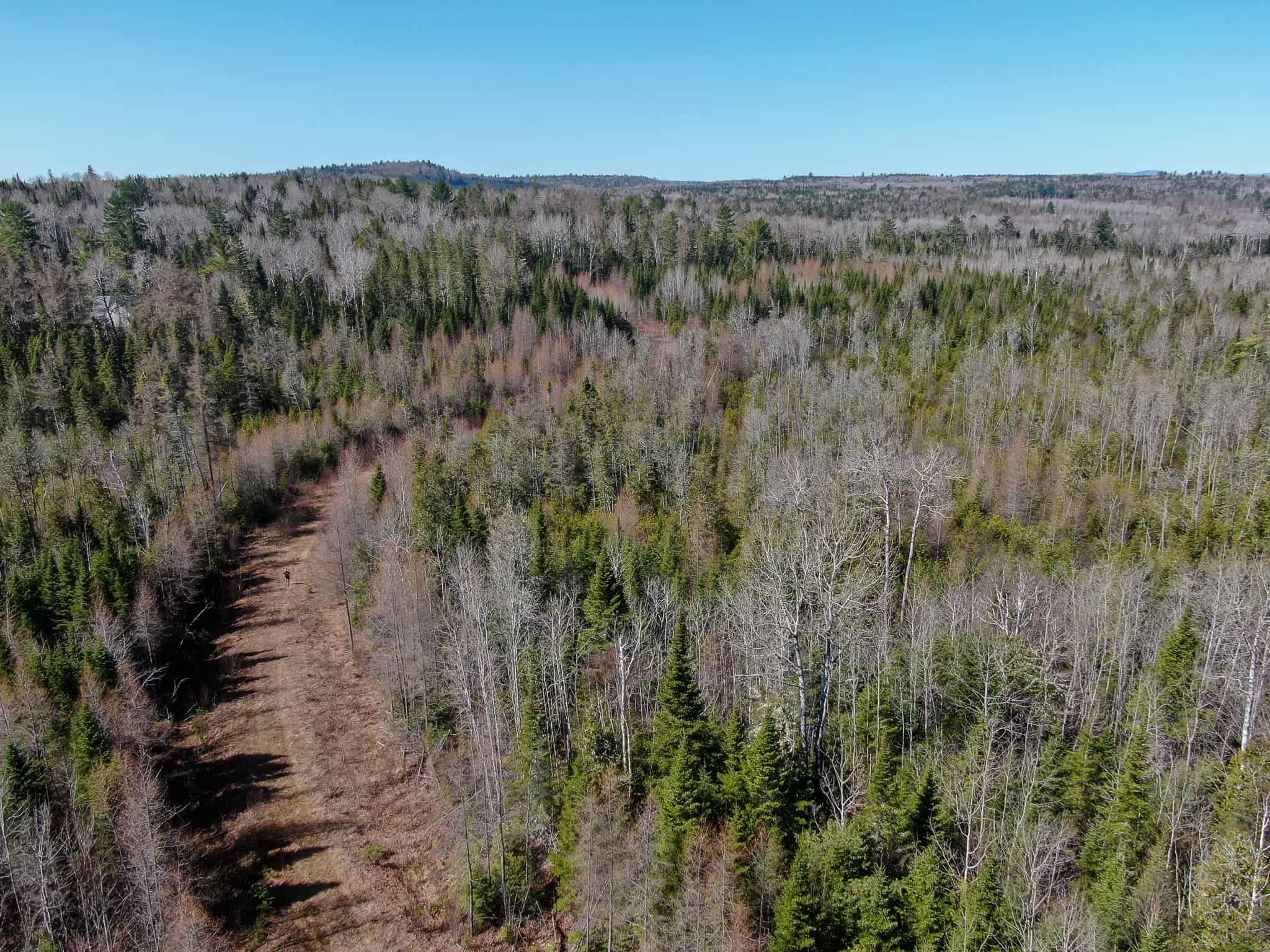 237 Acres of Prime Northern Maine Woods Land