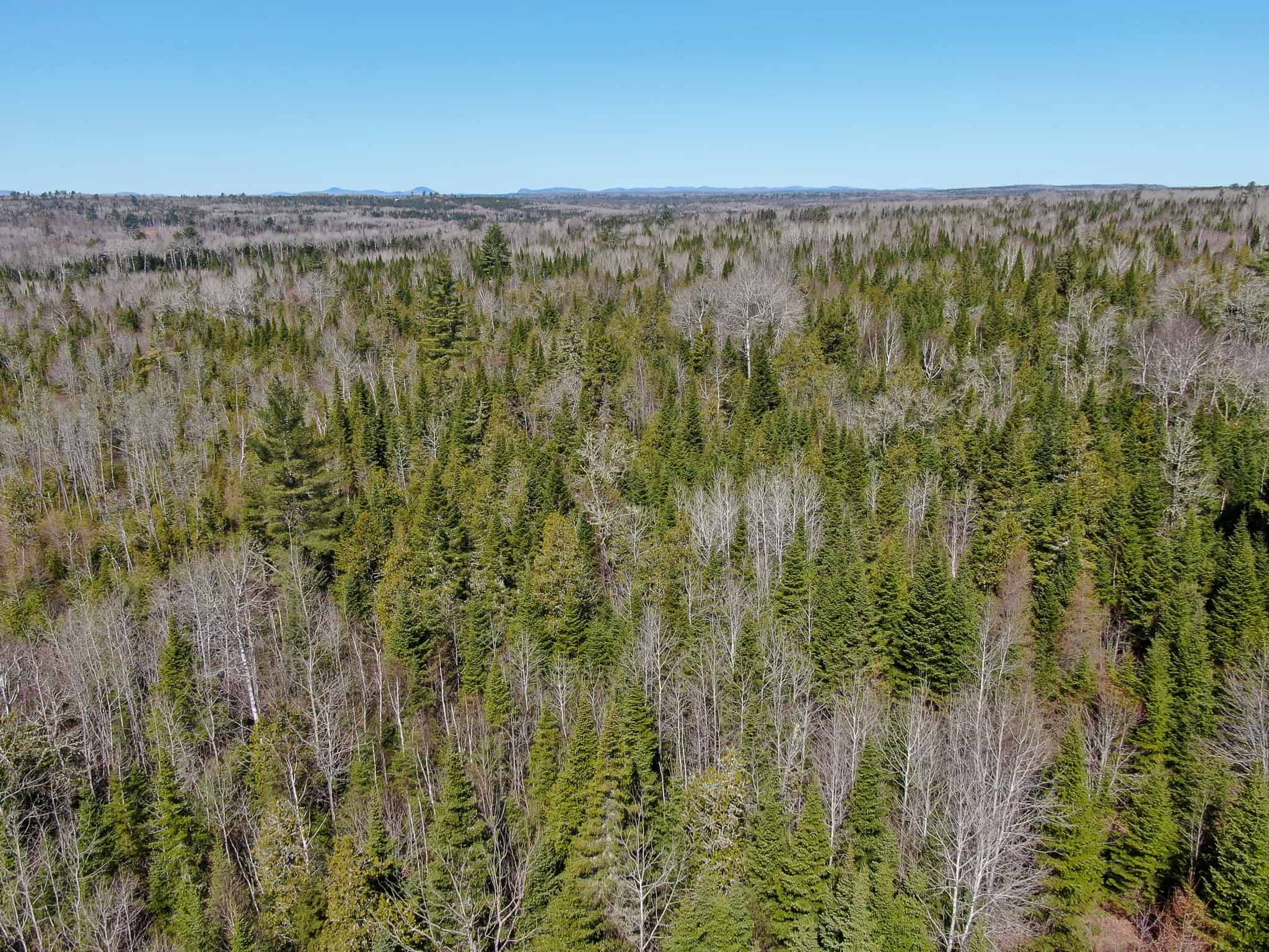 237 Acres of Prime Northern Maine Woods Land