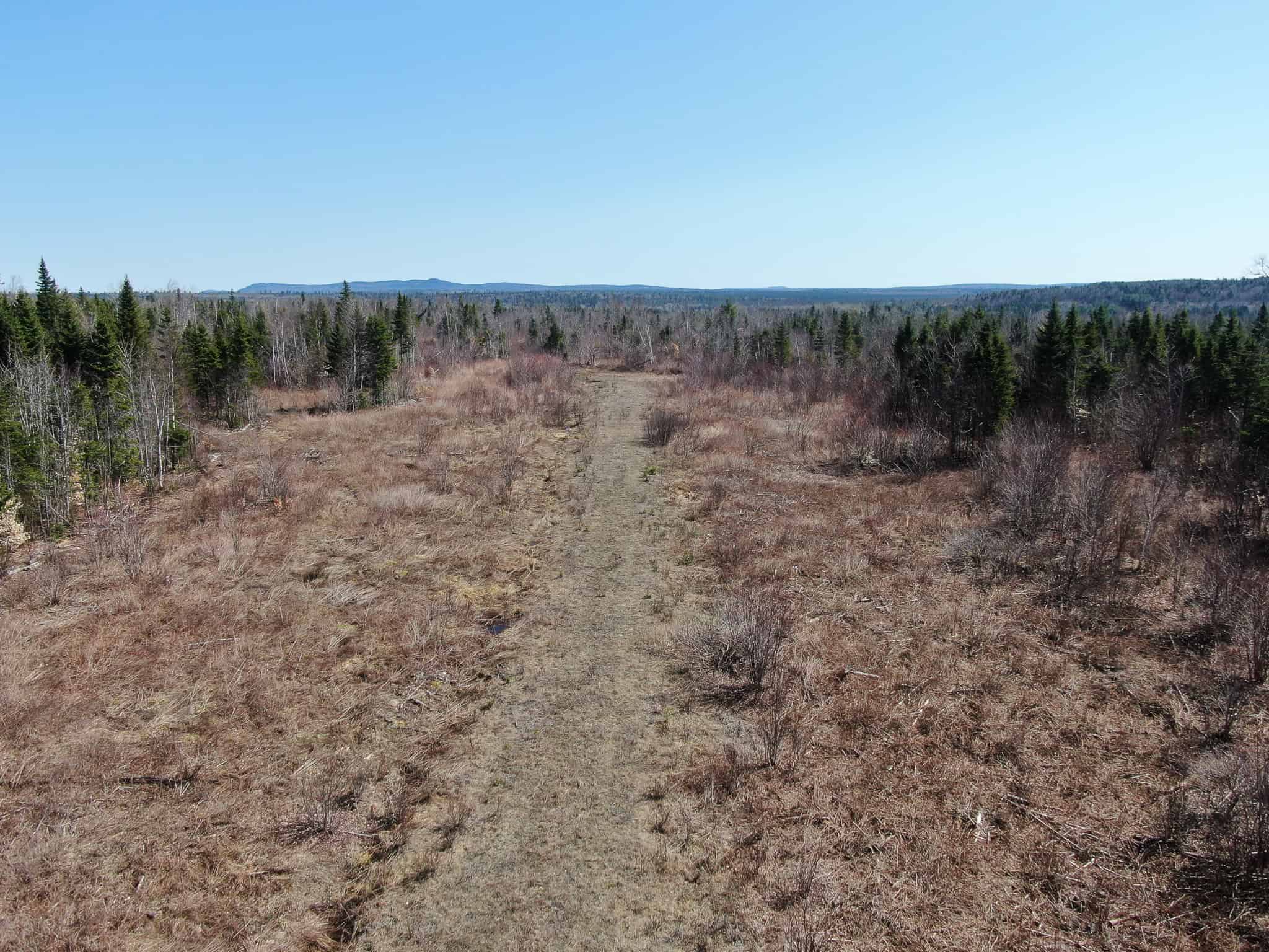 237 Acres of Prime Northern Maine Woods Land