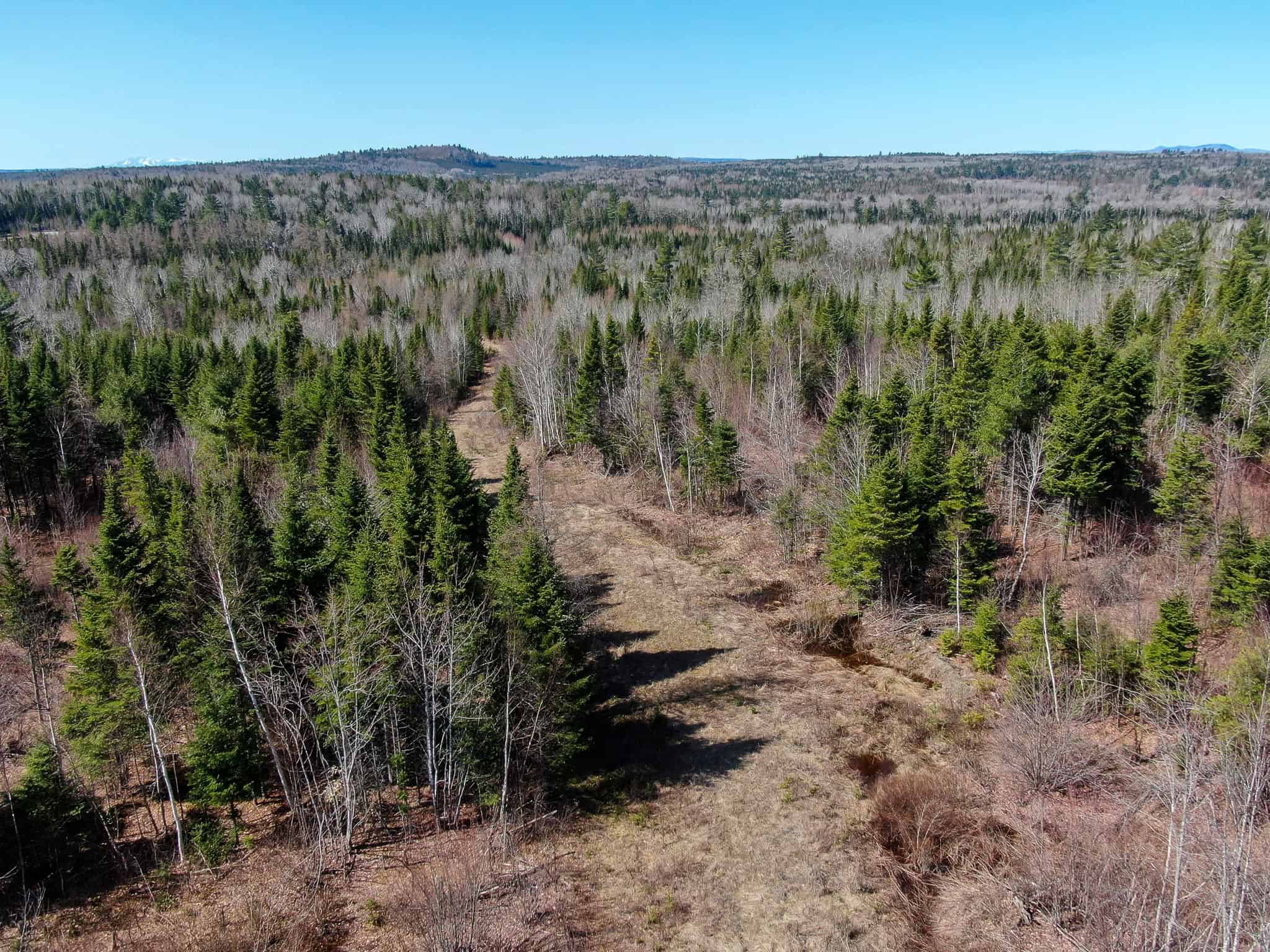 237 Acres of Prime Northern Maine Woods Land