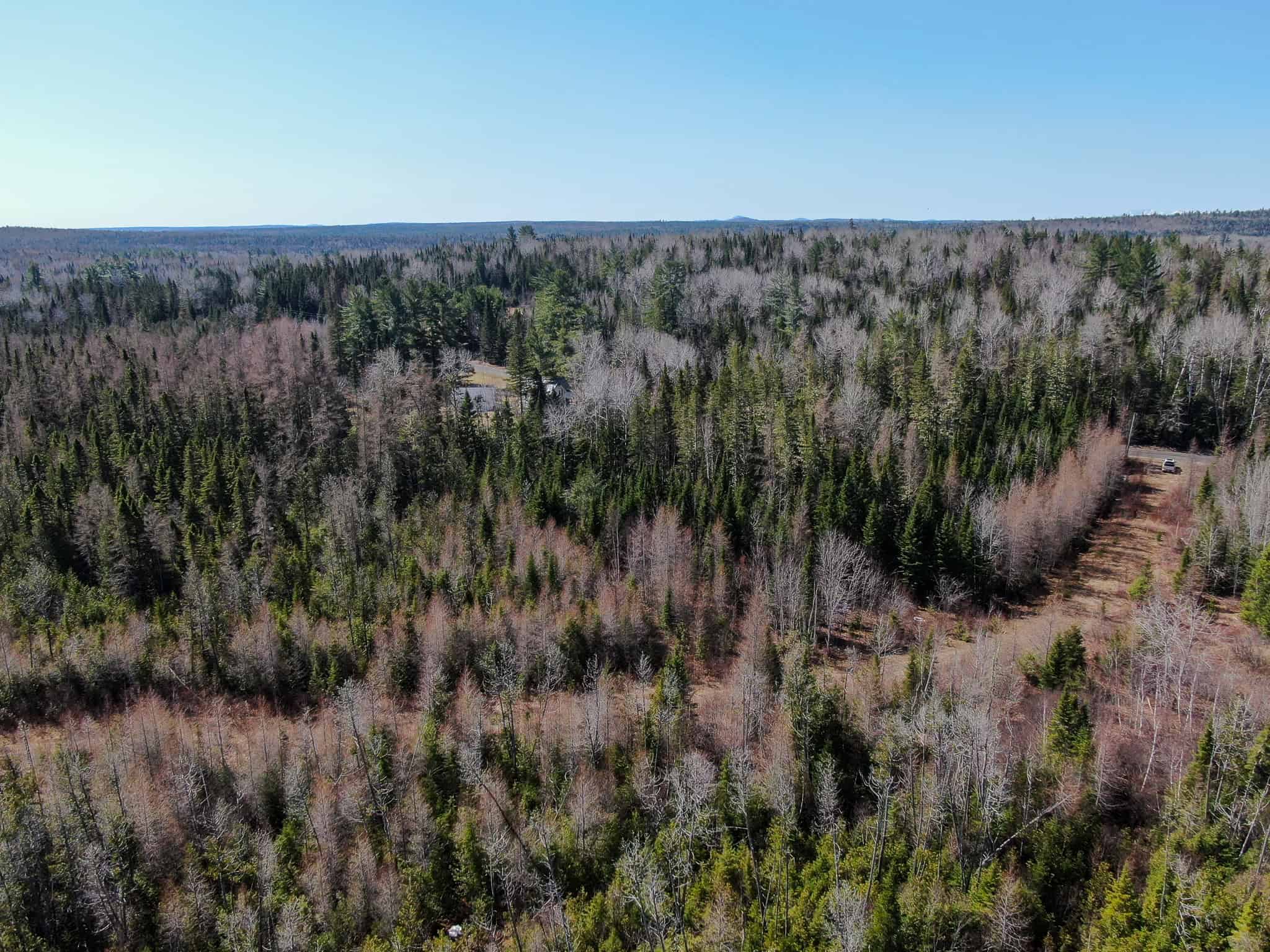 237 Acres of Prime Northern Maine Woods Land