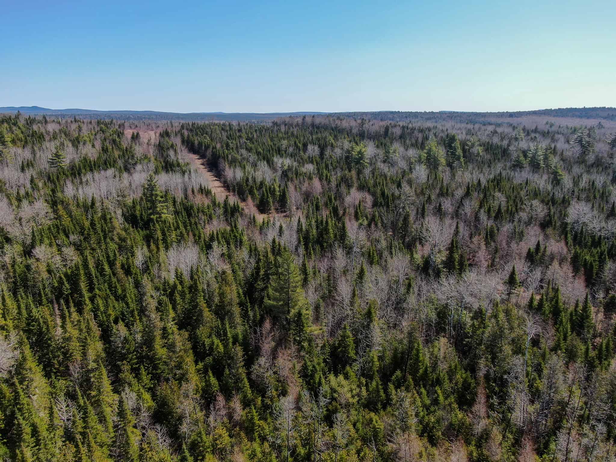 237 Acres of Prime Northern Maine Woods Land
