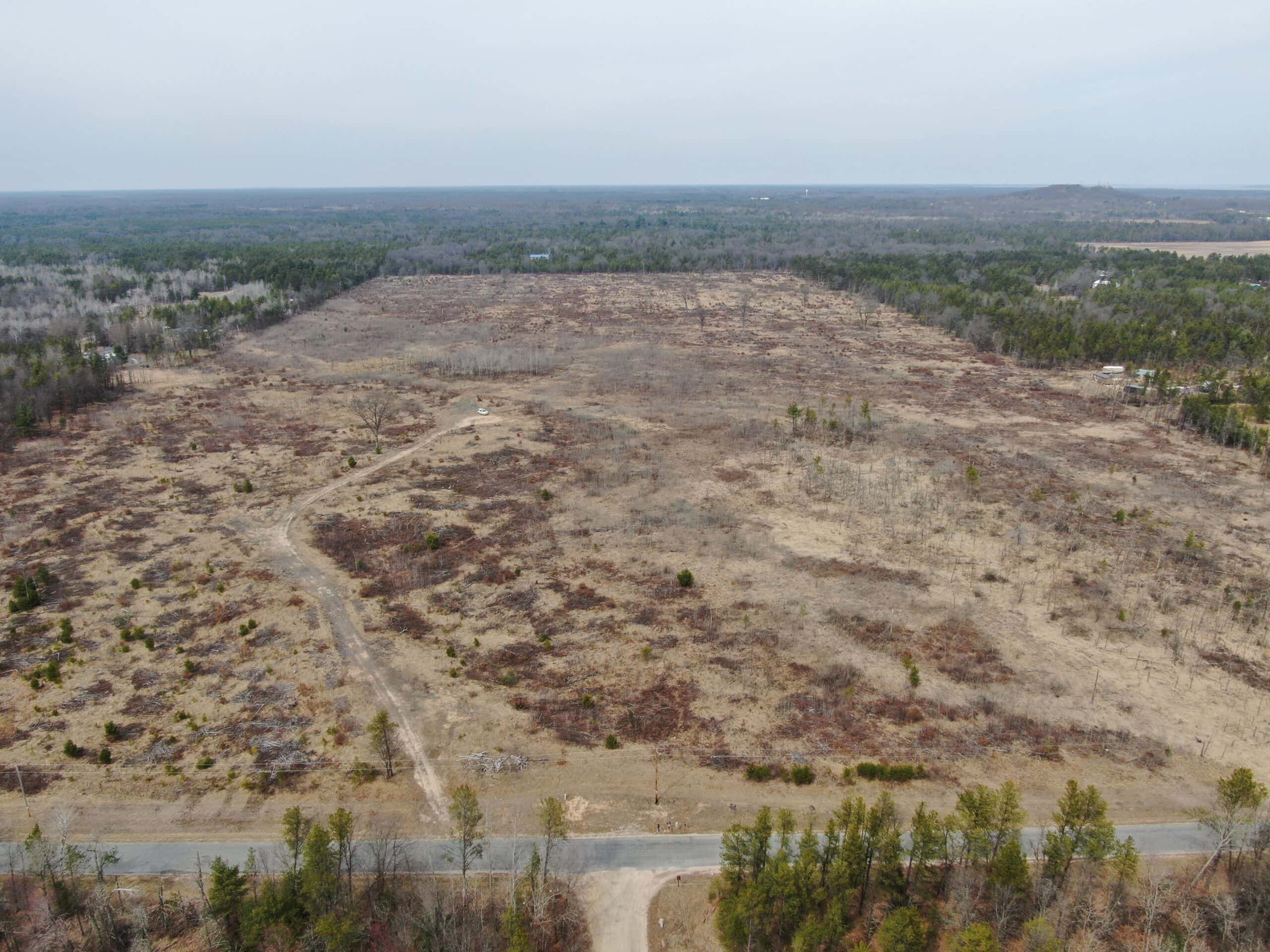 80 Acres of Juneau County Timber Land
