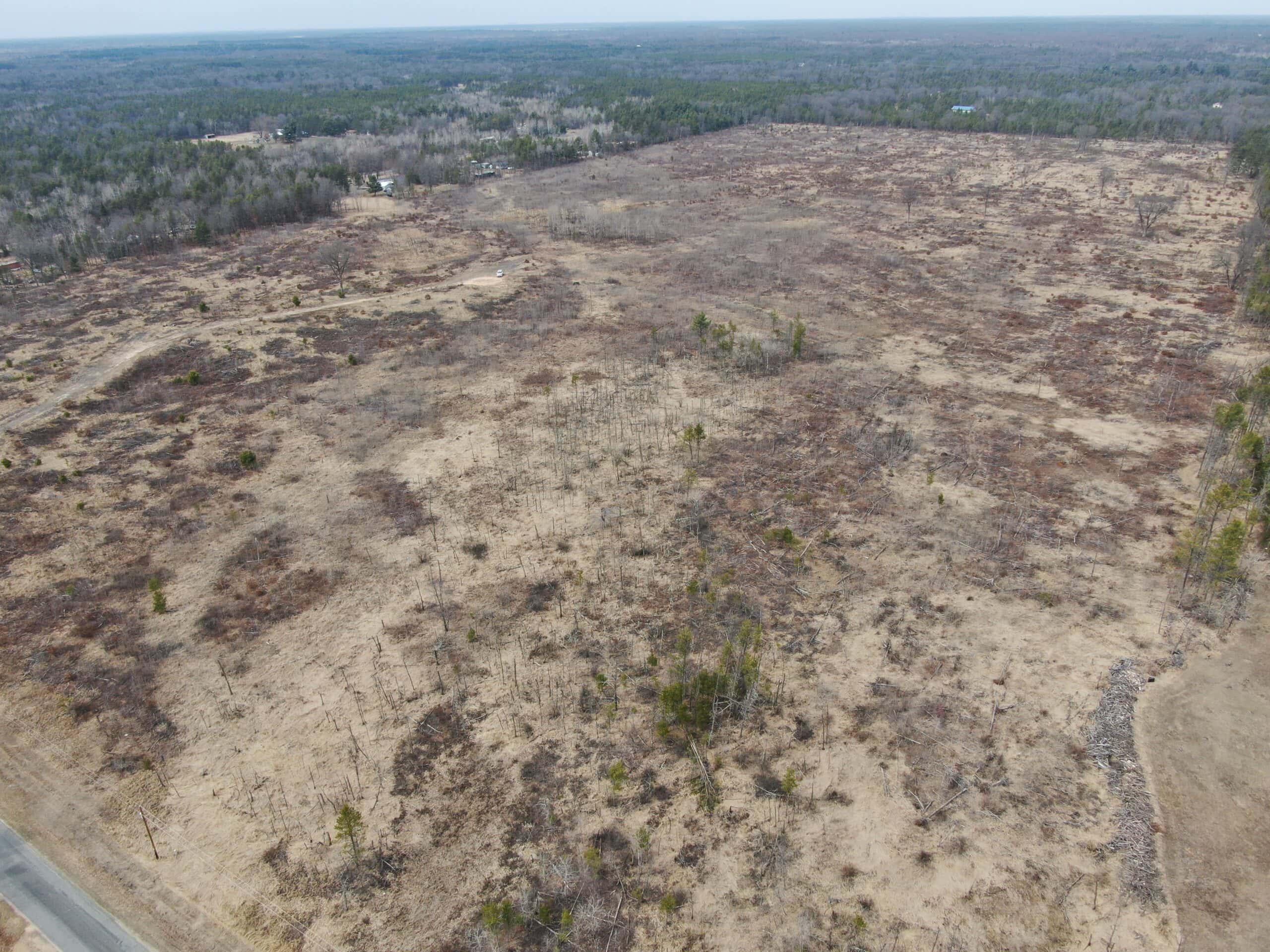 80 Acres of Juneau County Timber Land