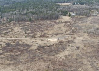 80 Acres of Juneau County Timber Land
