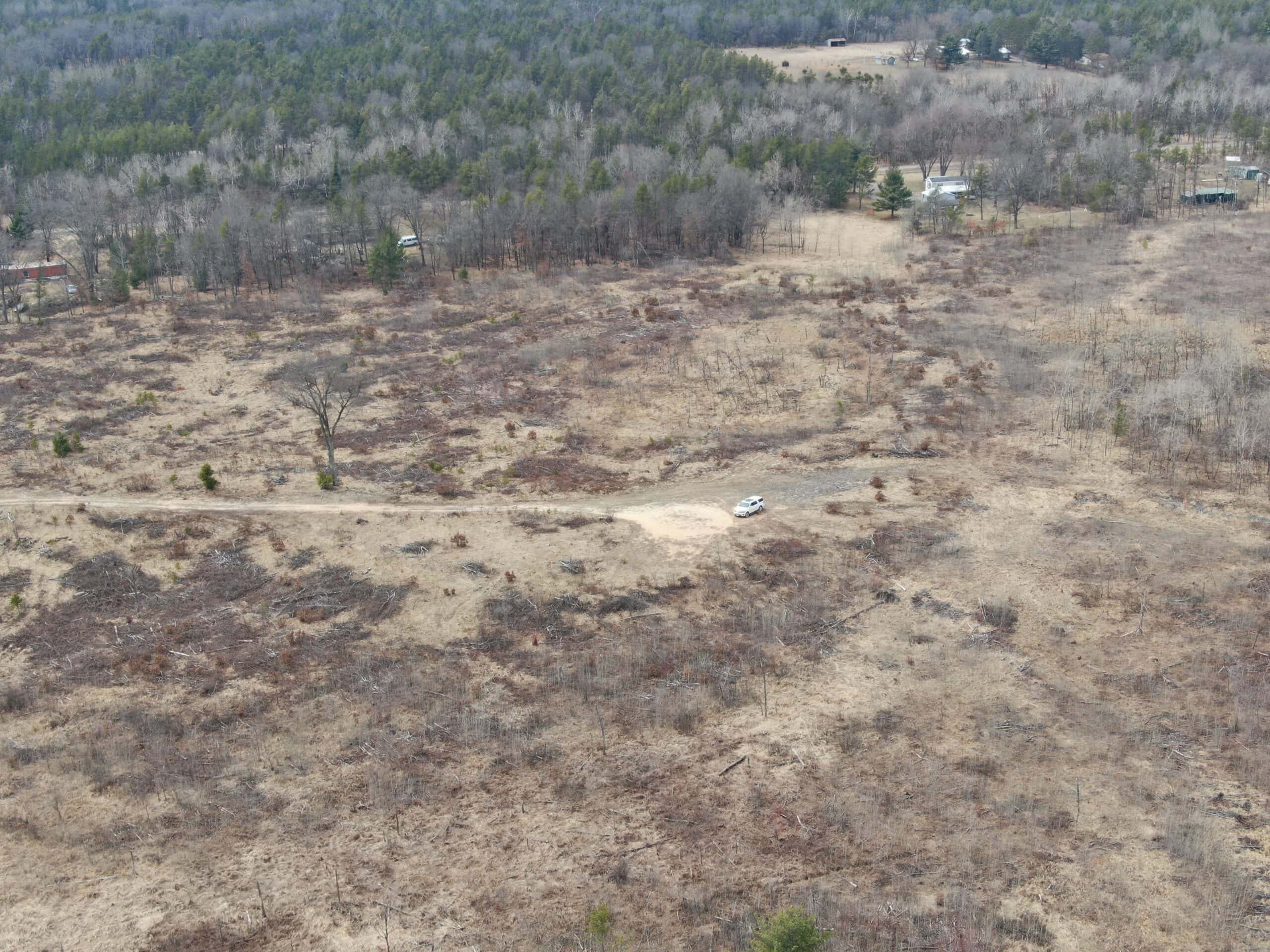80 Acres of Juneau County Timber Land