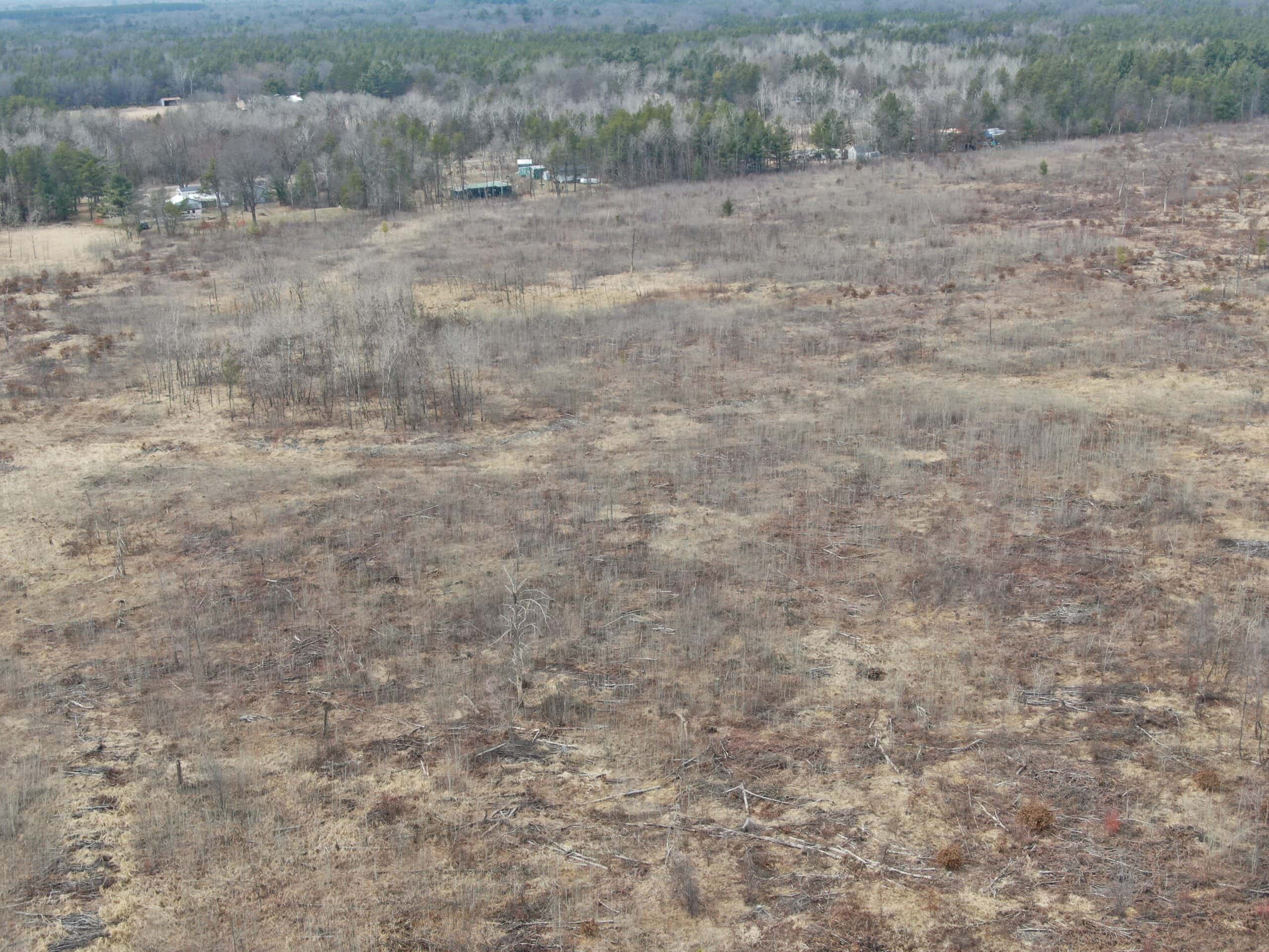 80 Acres of Juneau County Timber Land