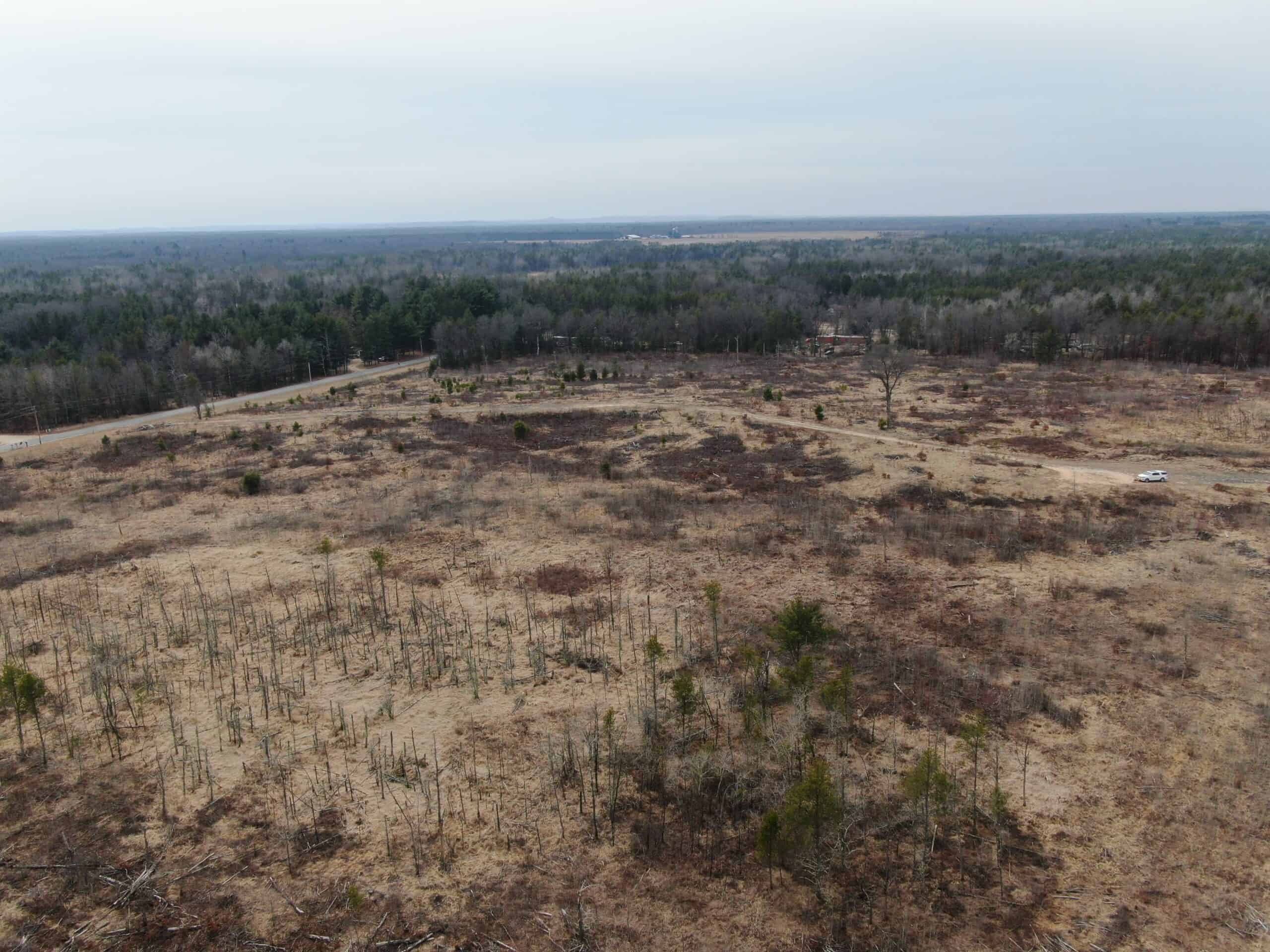 80 Acres of Juneau County Timber Land