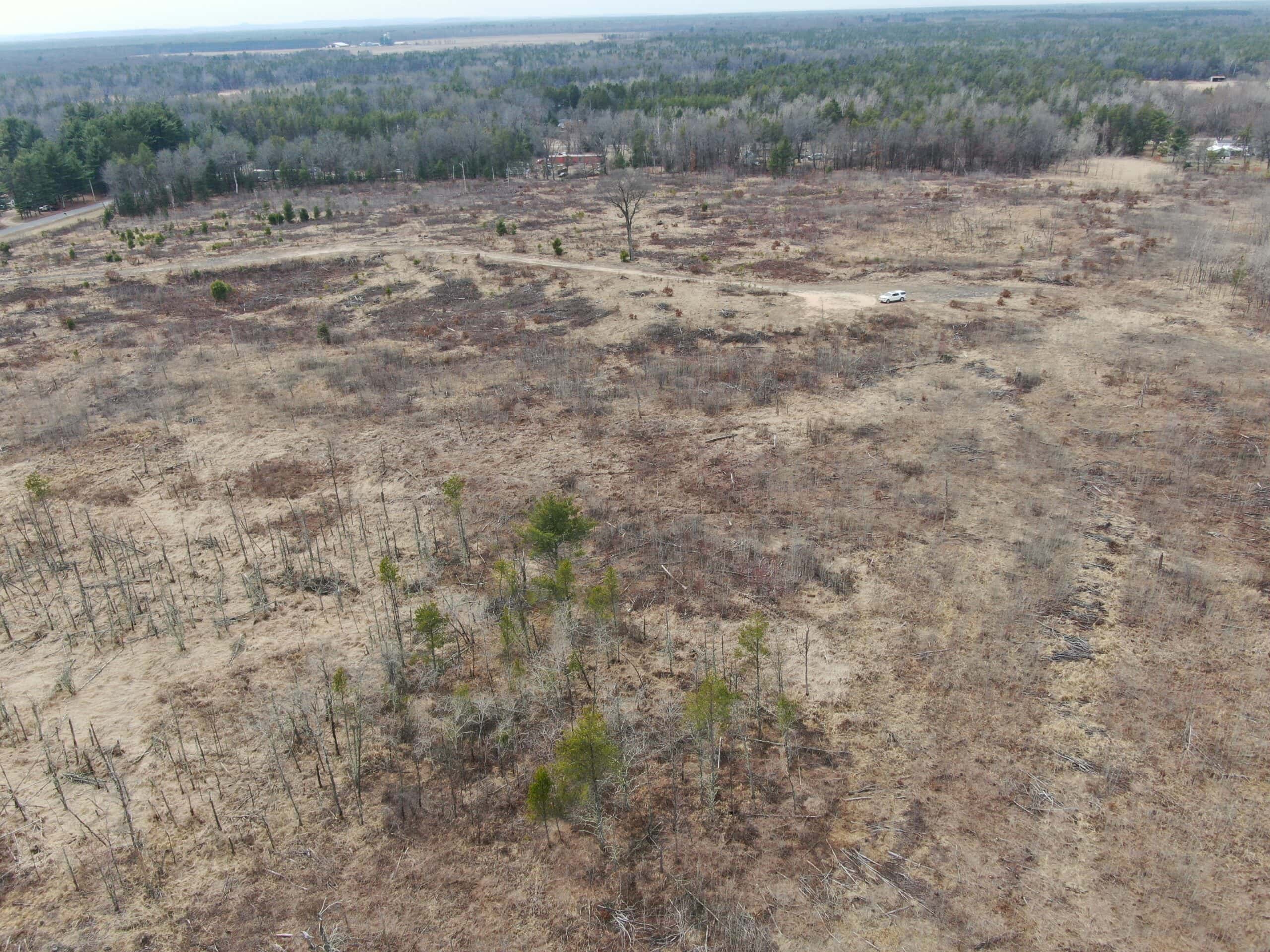 80 Acres of Juneau County Timber Land