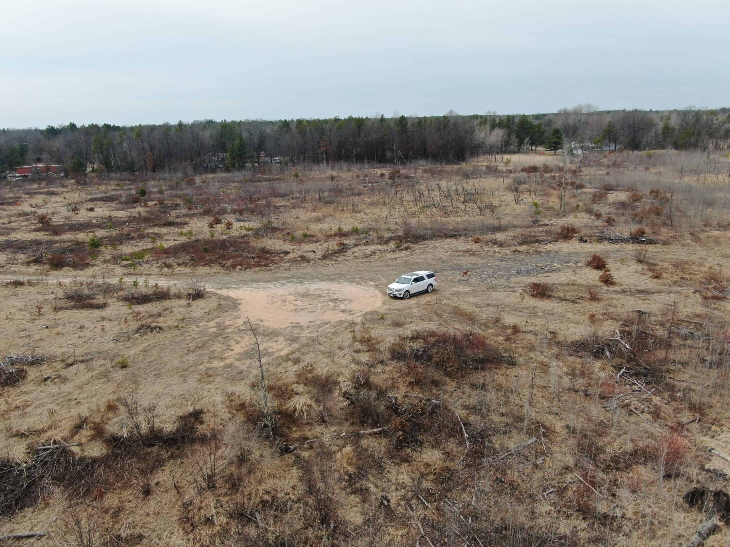 80 Acres of Juneau County Timber Land
