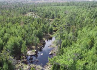 1206± Acres of Pristine Forestland