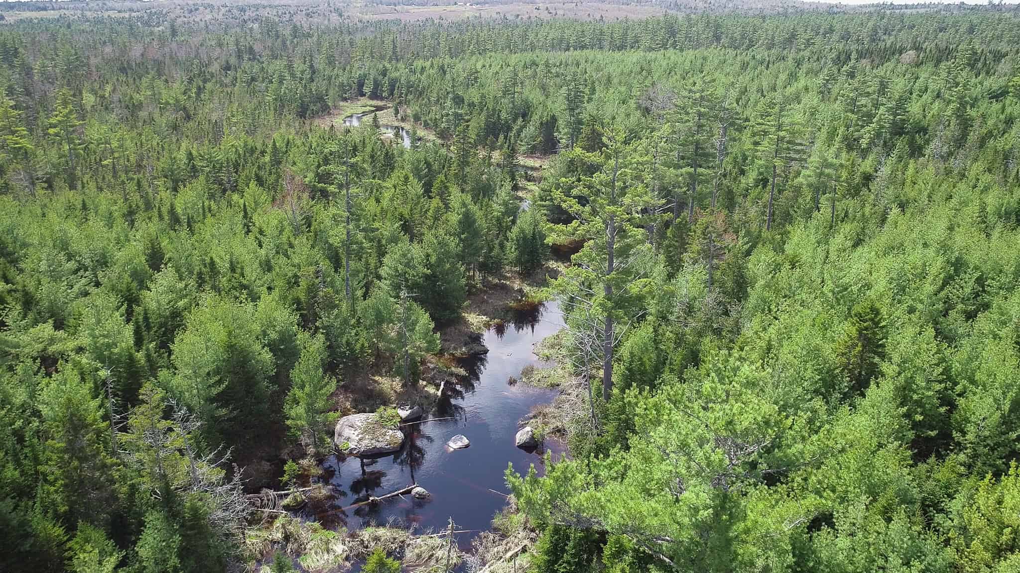 1206± Acres of Pristine Forestland