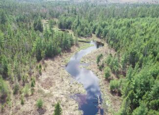 1206± Acres of Pristine Forestland