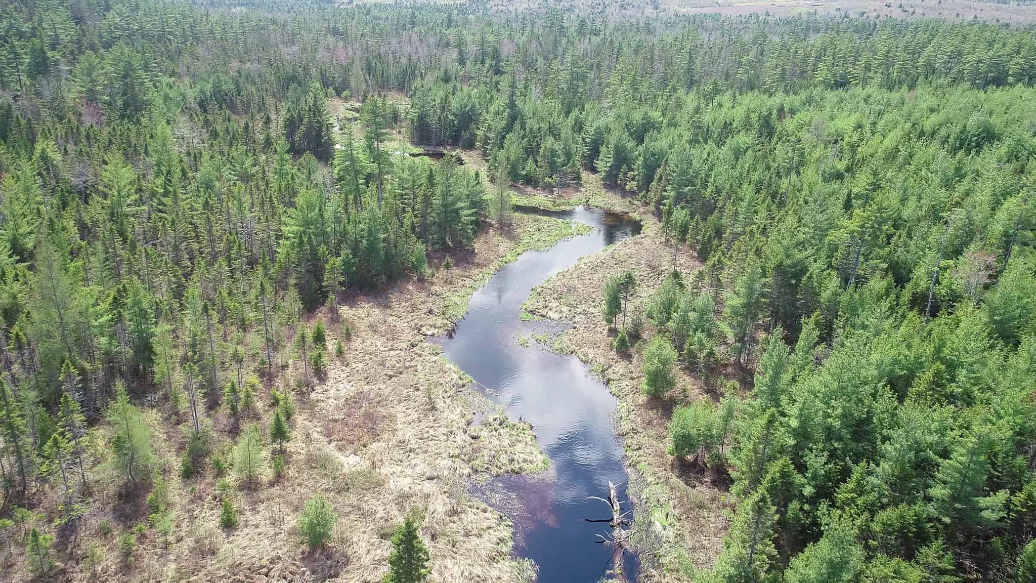 1206± Acres of Pristine Forestland