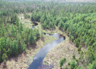 1206± Acres of Pristine Forestland