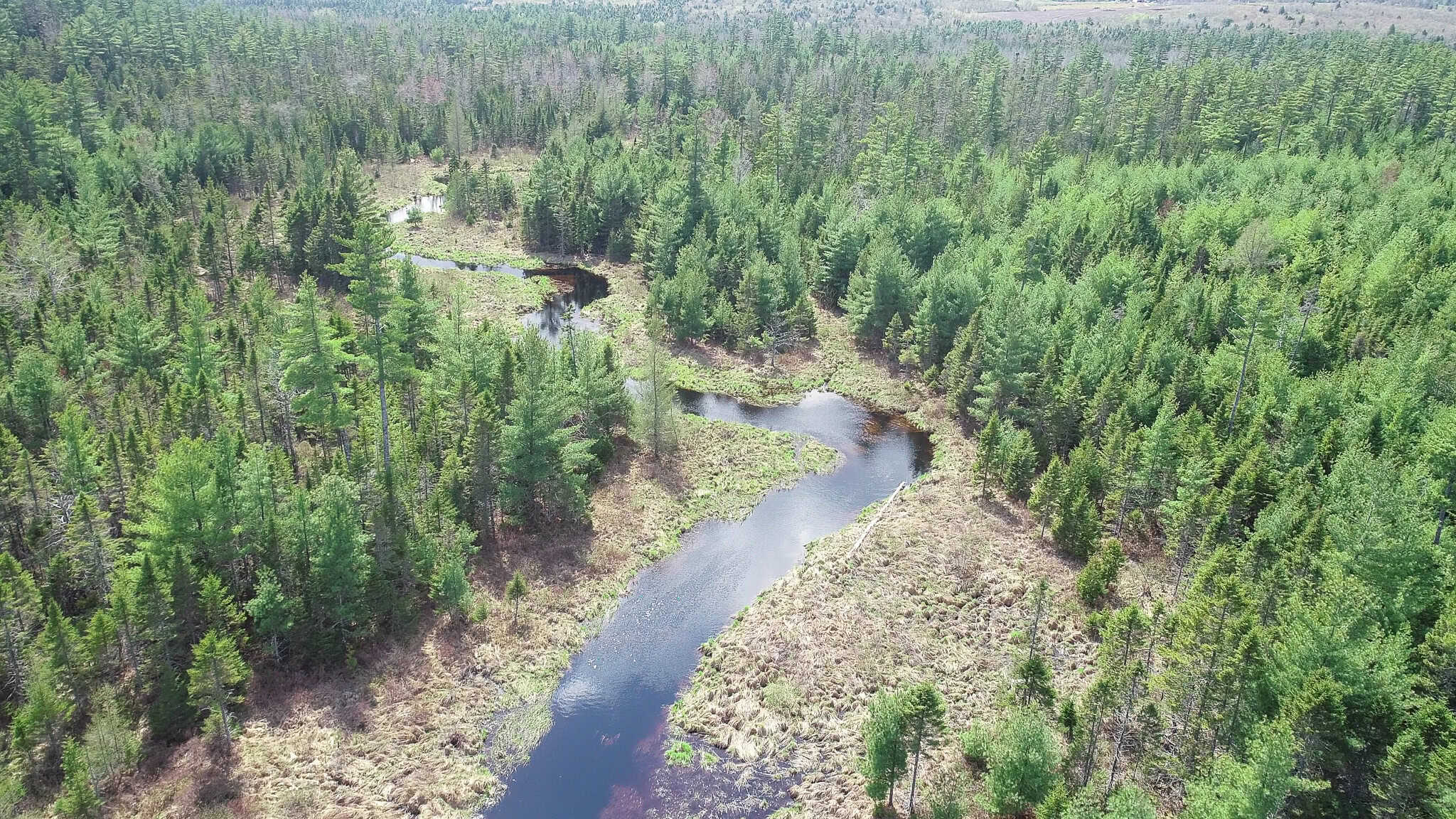 1206± Acres of Pristine Forestland