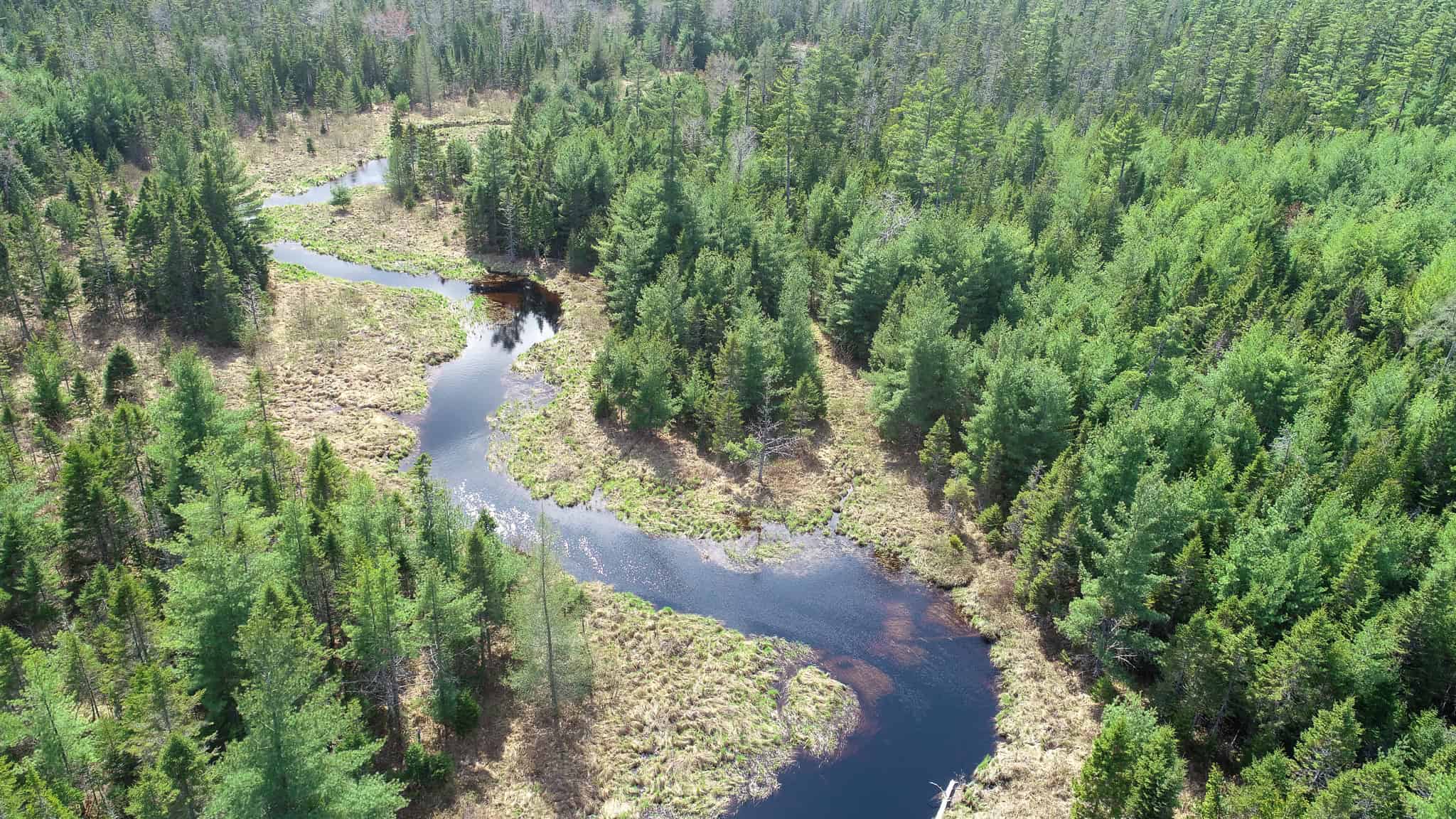 1206± Acres of Pristine Forestland