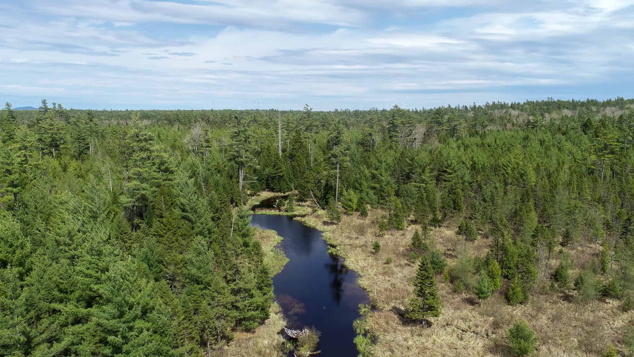 1206± Acres of Pristine Forestland