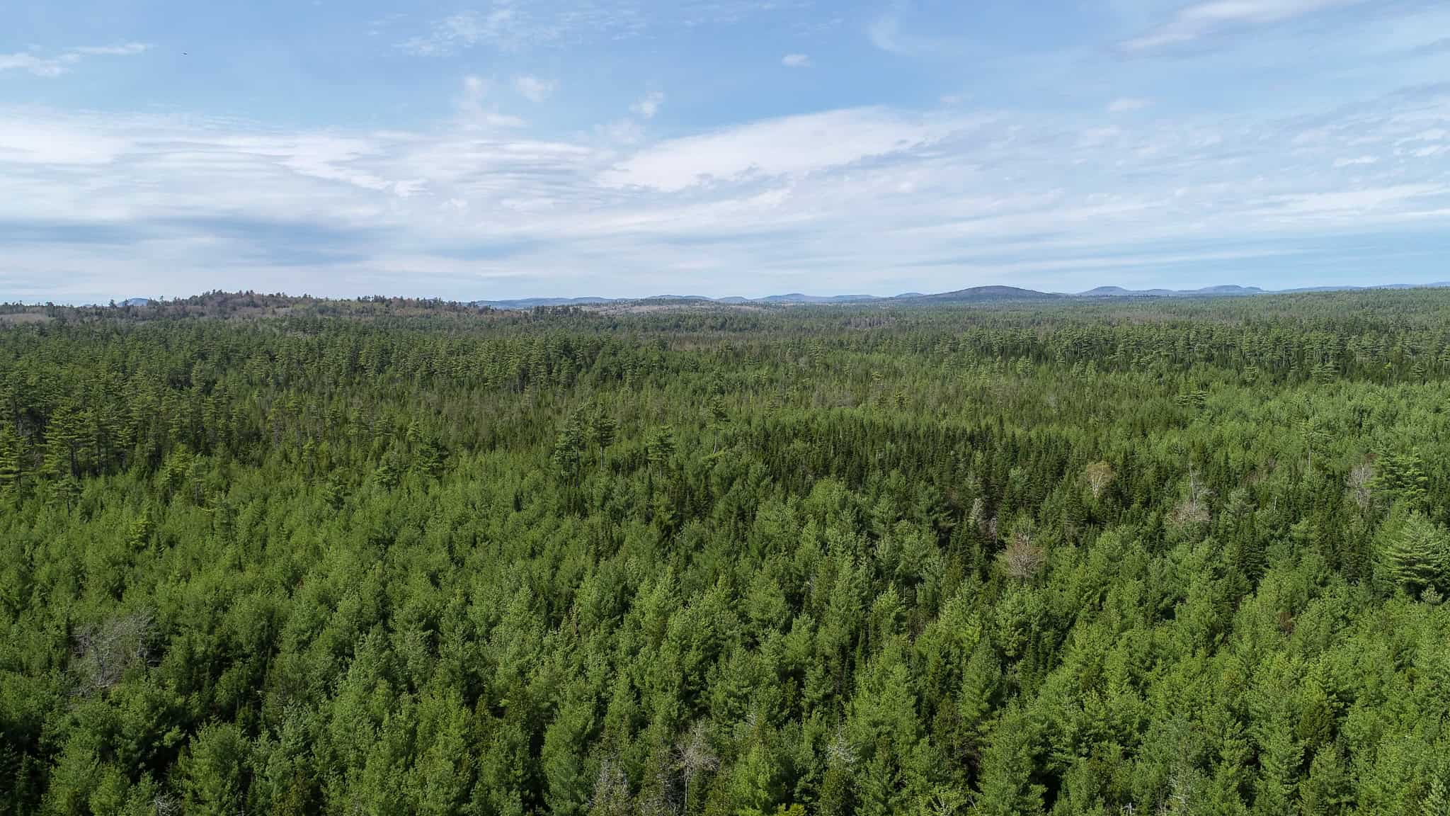 1206± Acres of Pristine Forestland