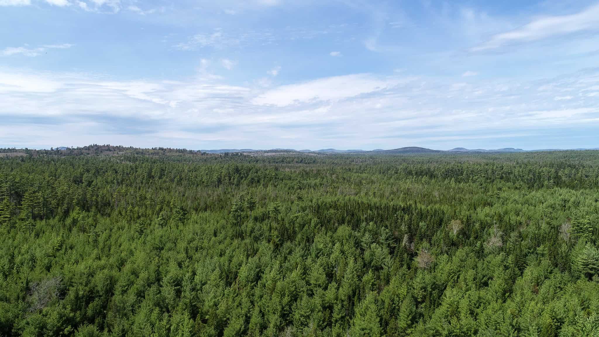 1206± Acres of Pristine Forestland