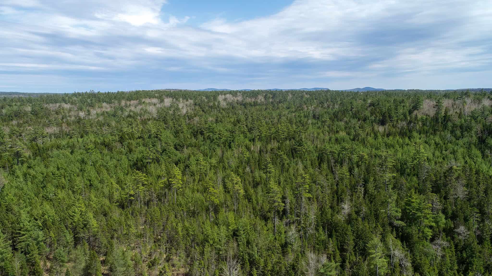 1206± Acres of Pristine Forestland