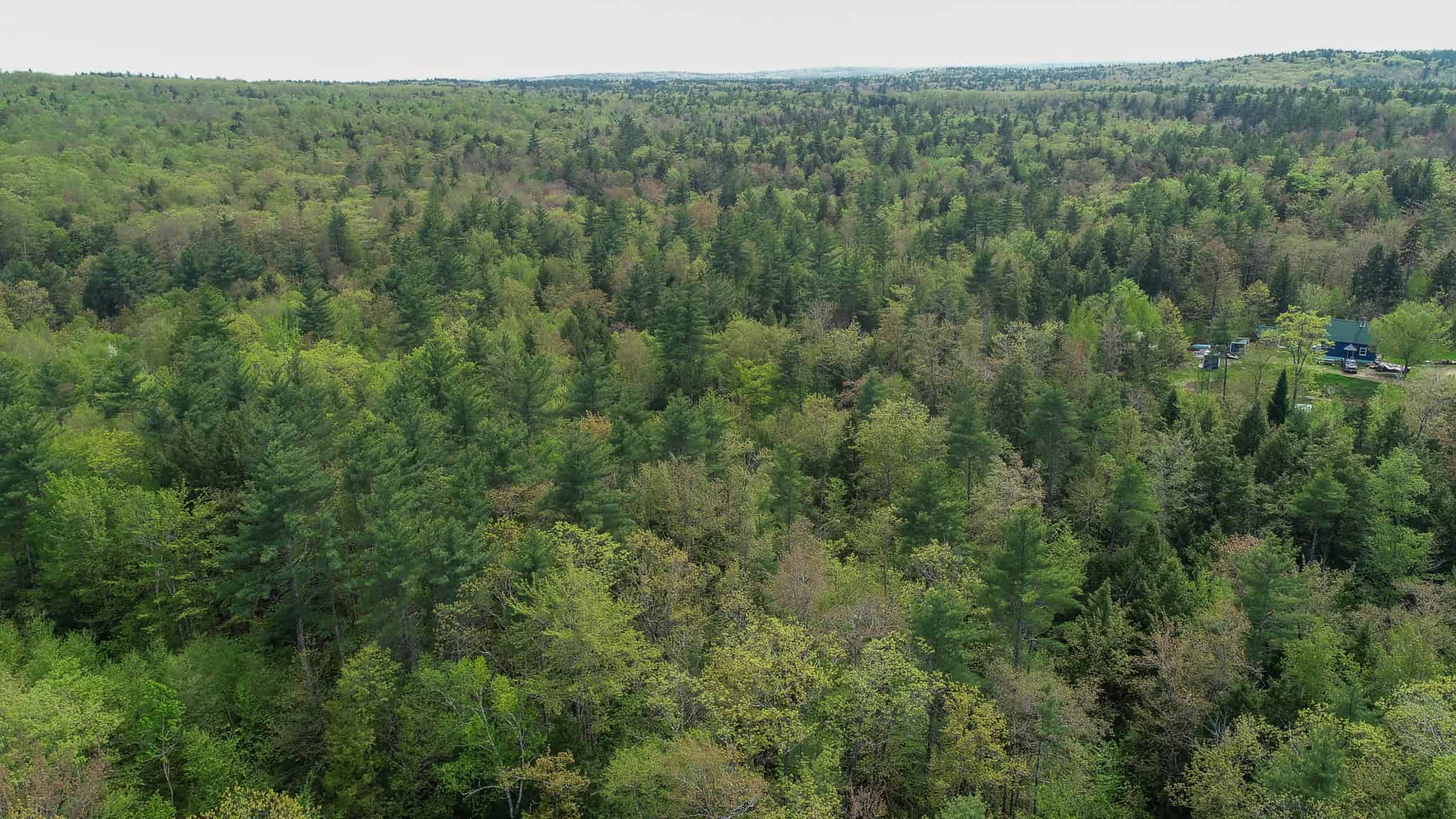 104± Acre Parcel in North Berwick