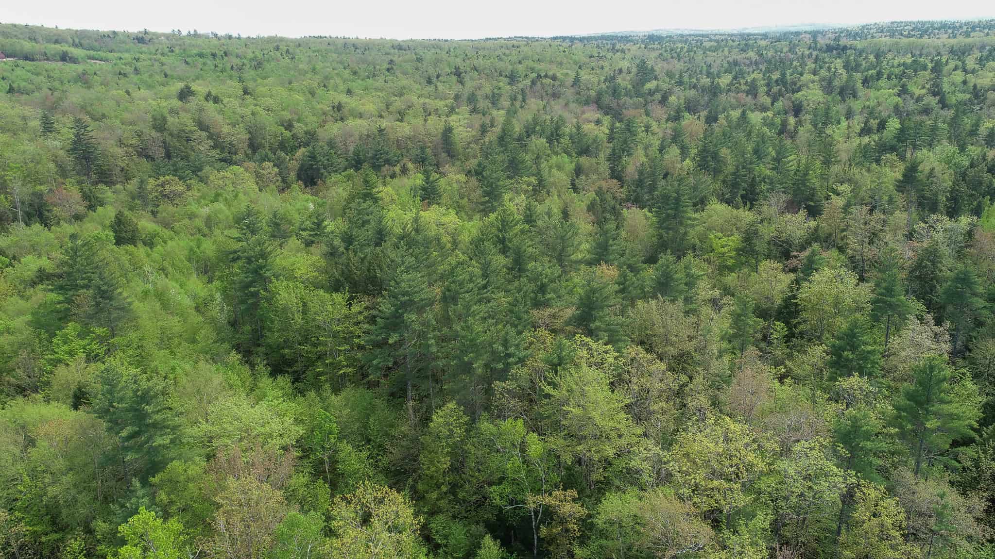 104± Acre Parcel in North Berwick