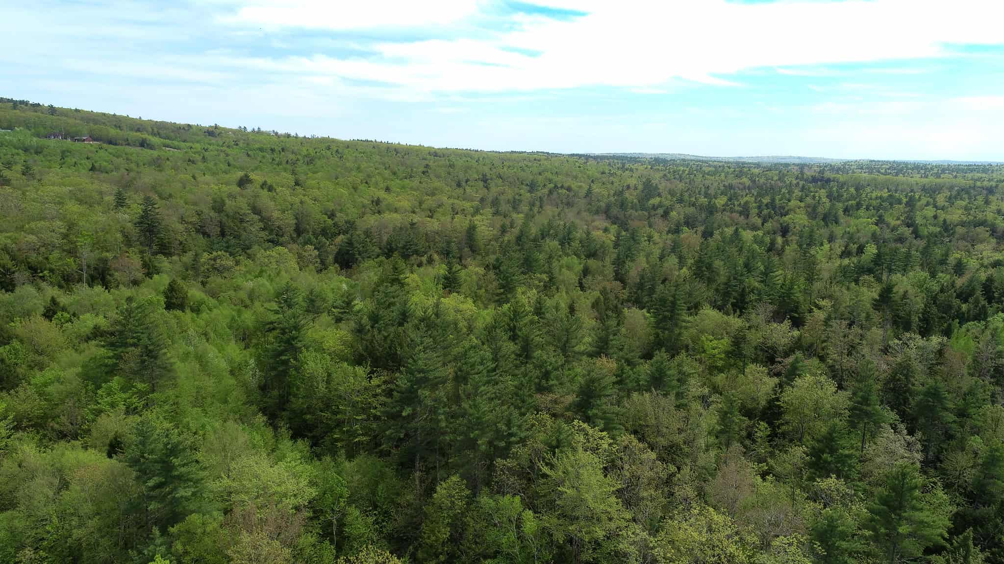 104± Acre Parcel in North Berwick