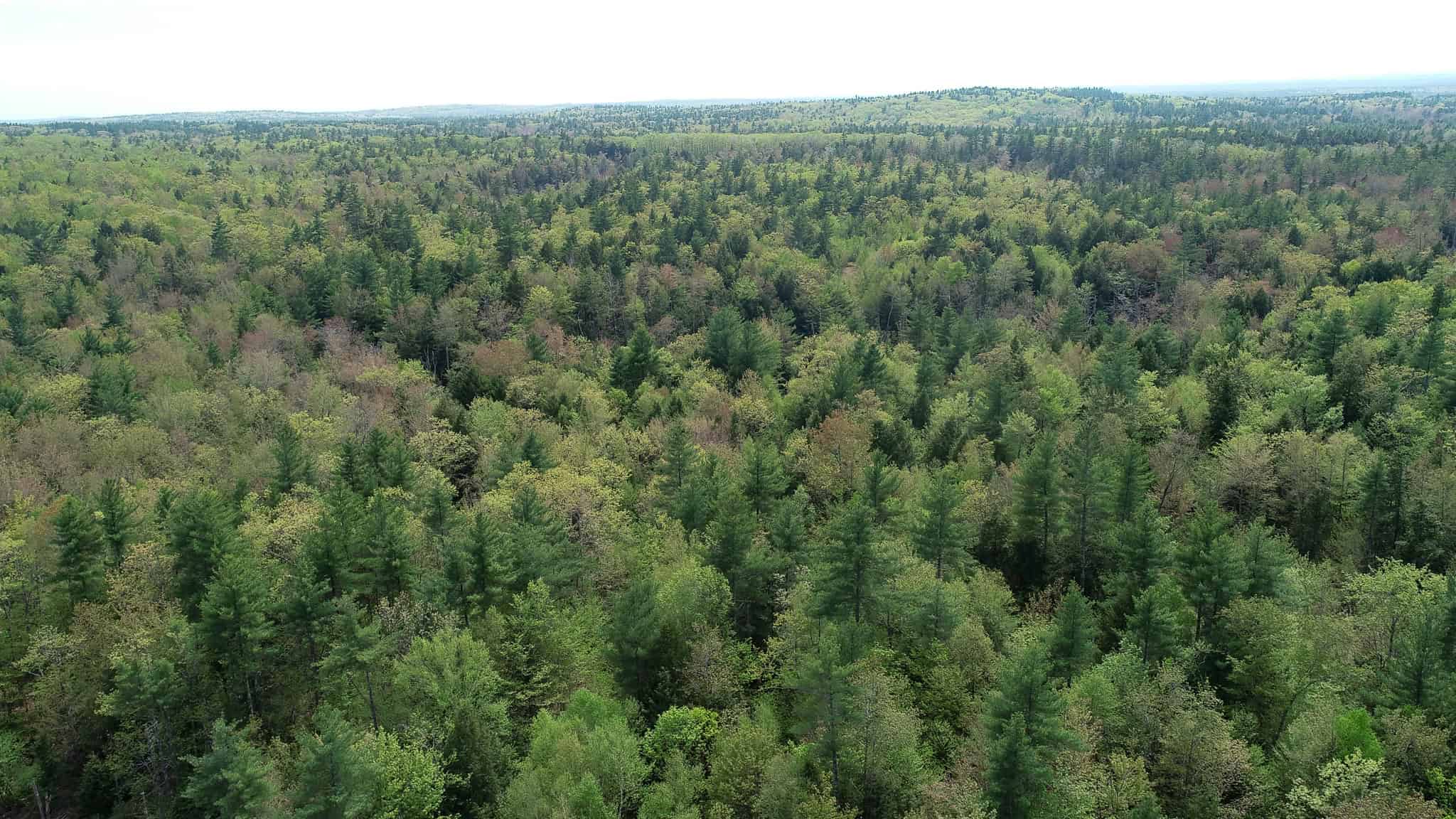 104± Acre Parcel in North Berwick