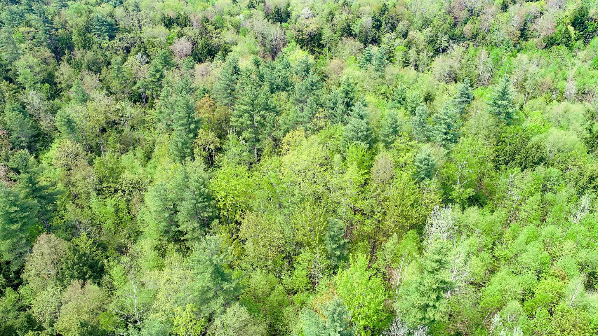104± Acre Parcel in North Berwick