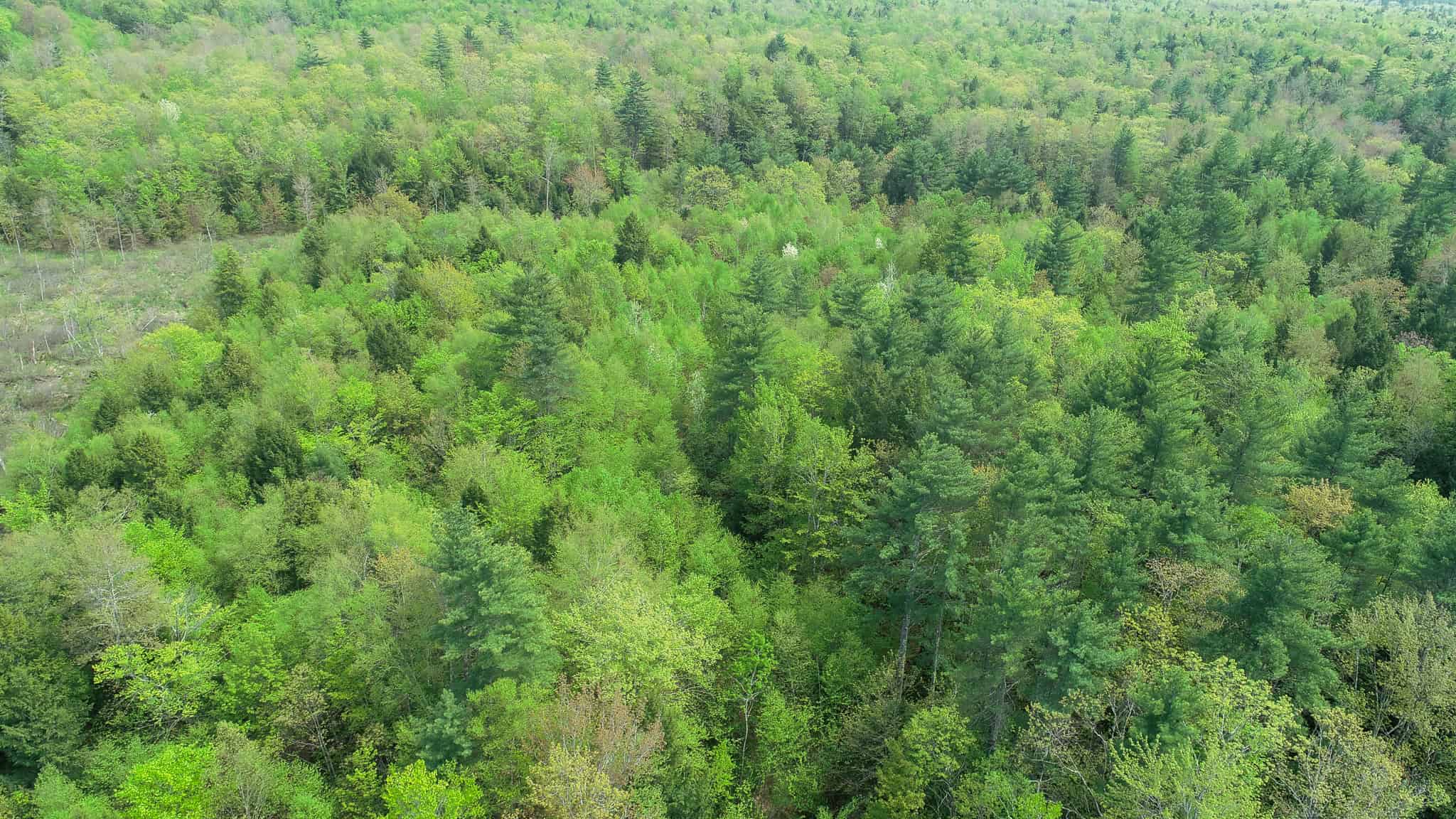104± Acre Parcel in North Berwick