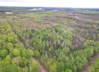 Hunting Land for Sale in Park Falls, Wisconsin