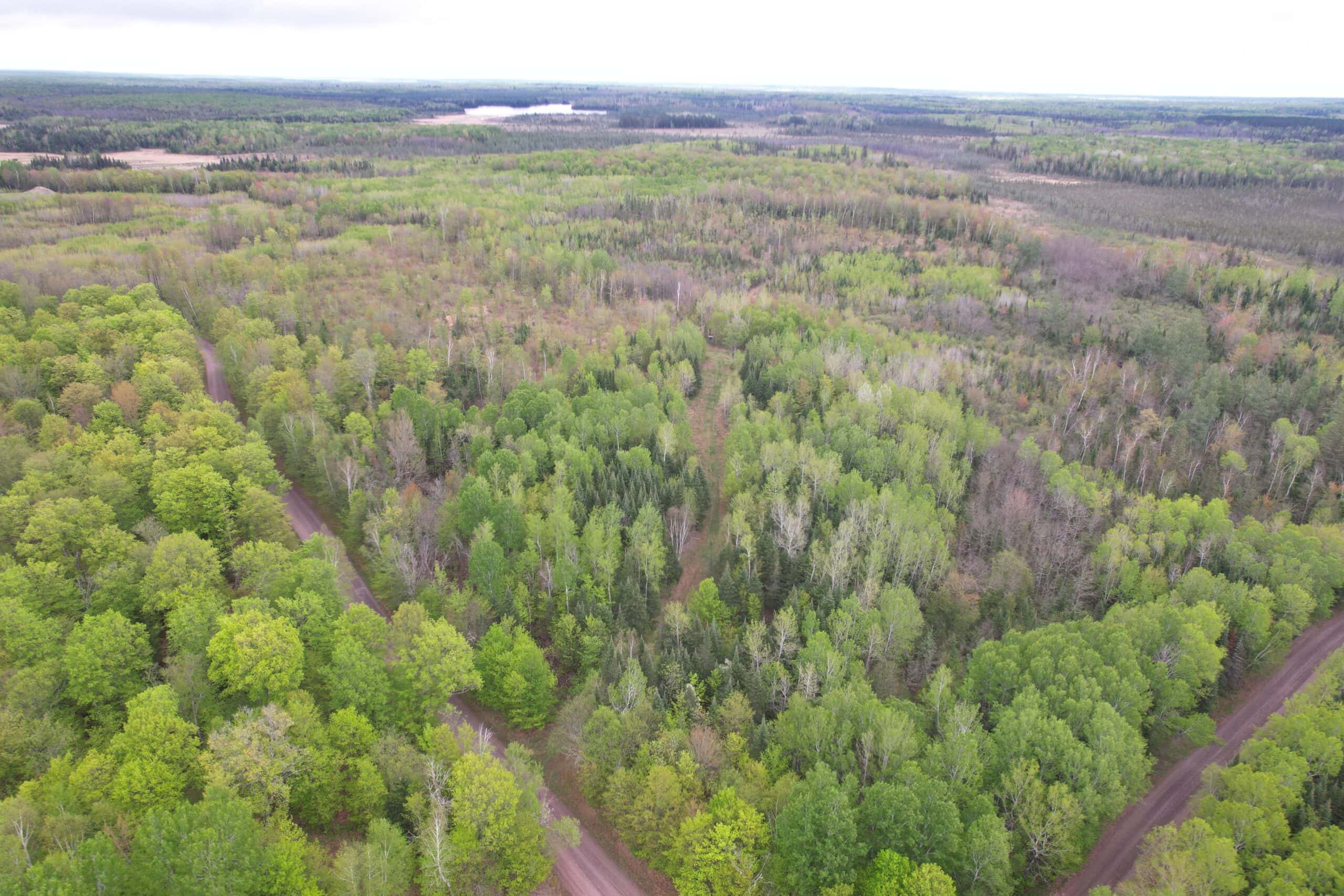 Hunting Land for Sale in Park Falls, Wisconsin