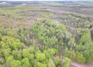 Hunting Land for Sale in Park Falls, Wisconsin