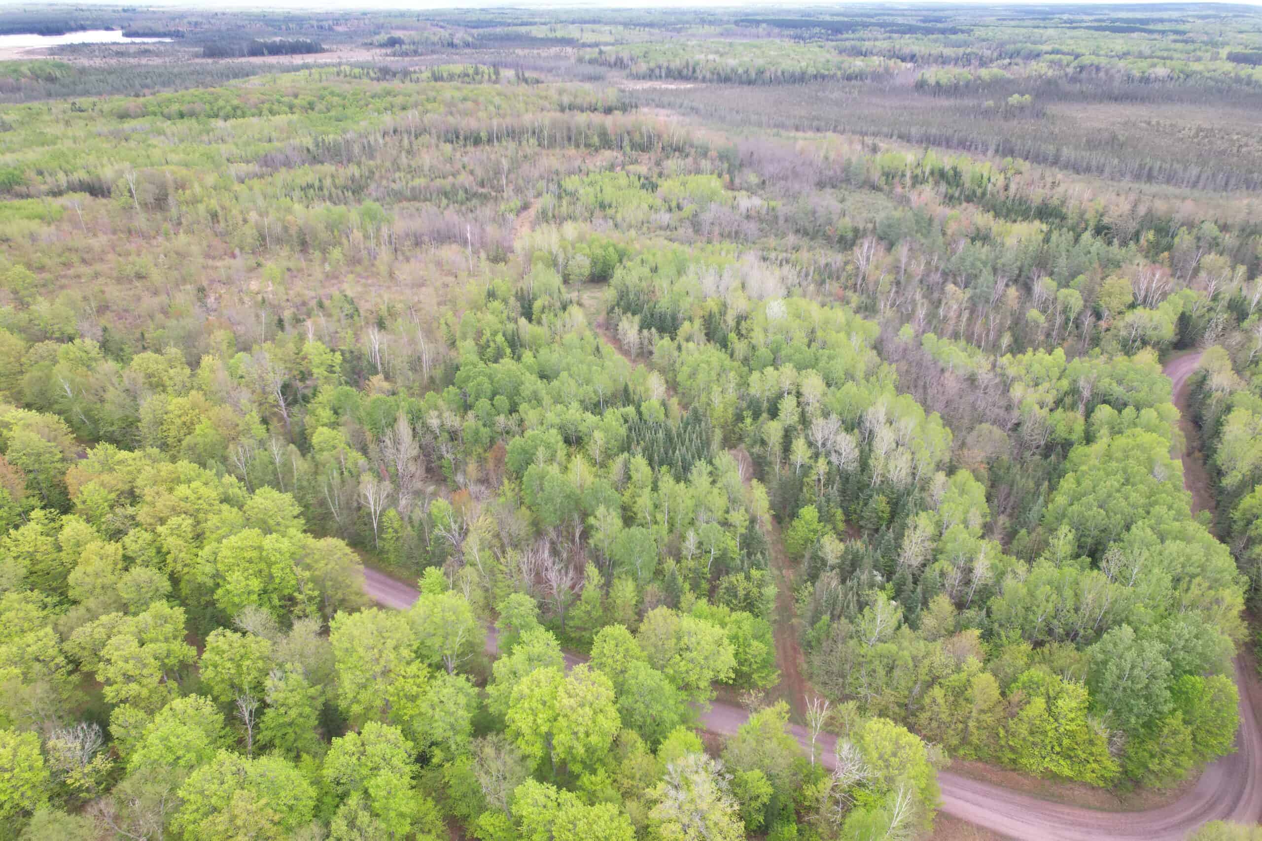 Hunting Land for Sale in Park Falls, Wisconsin
