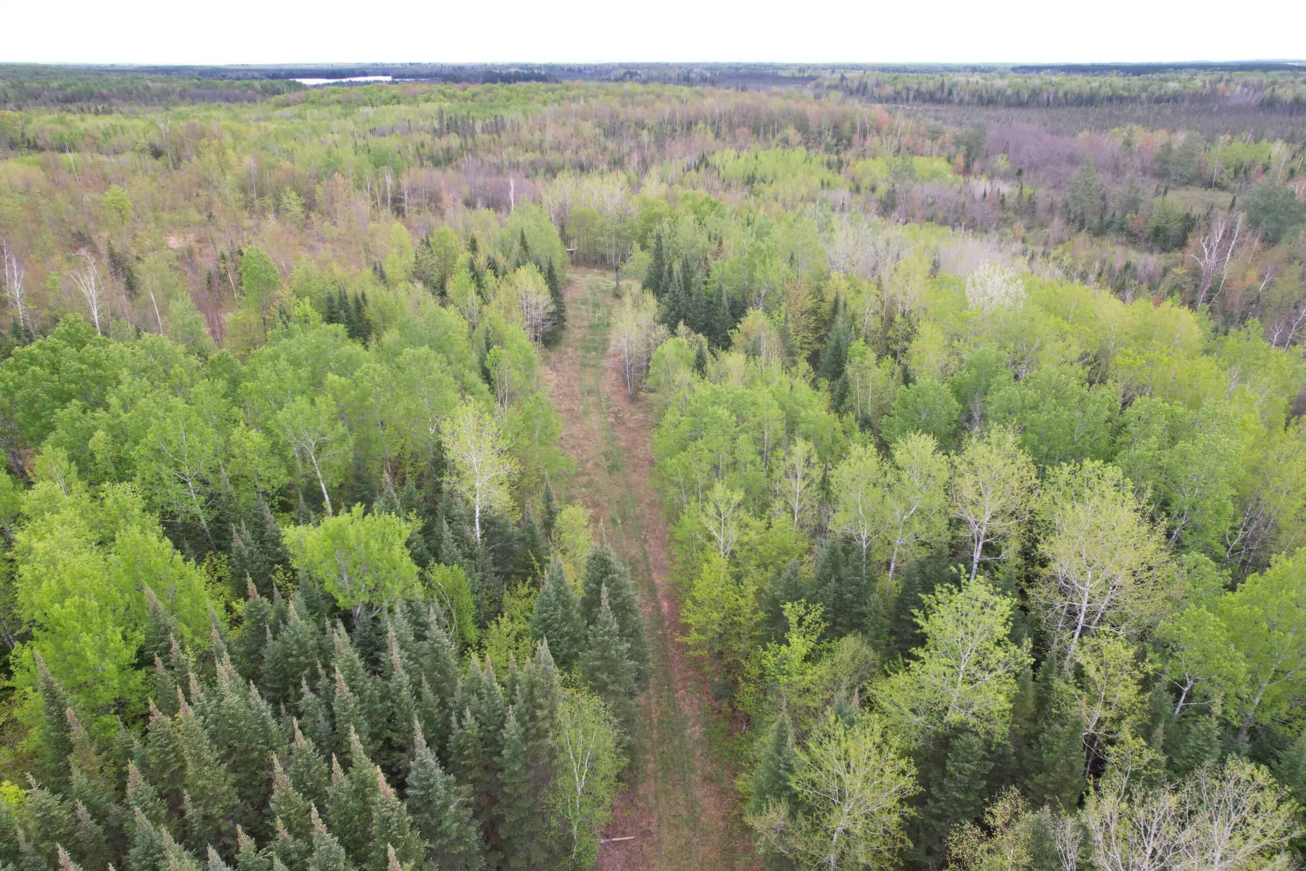 Hunting Land for Sale in Park Falls, Wisconsin