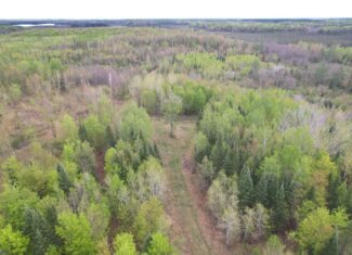 Hunting Land for Sale in Park Falls, Wisconsin