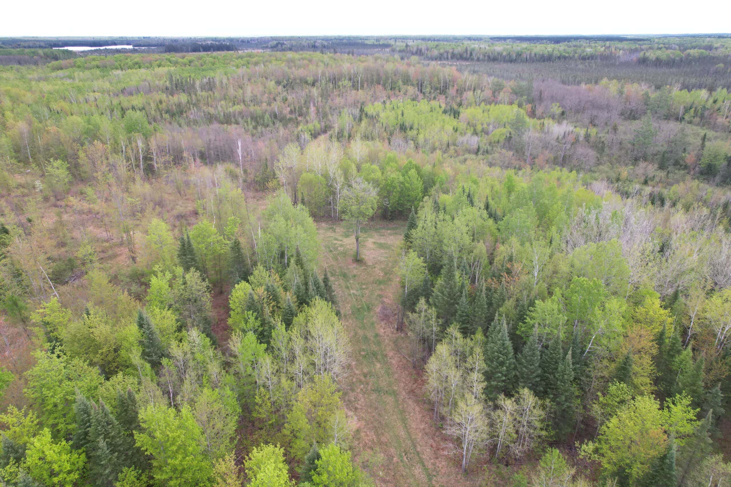 Hunting Land for Sale in Park Falls, Wisconsin