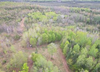 Hunting Land for Sale in Park Falls, Wisconsin