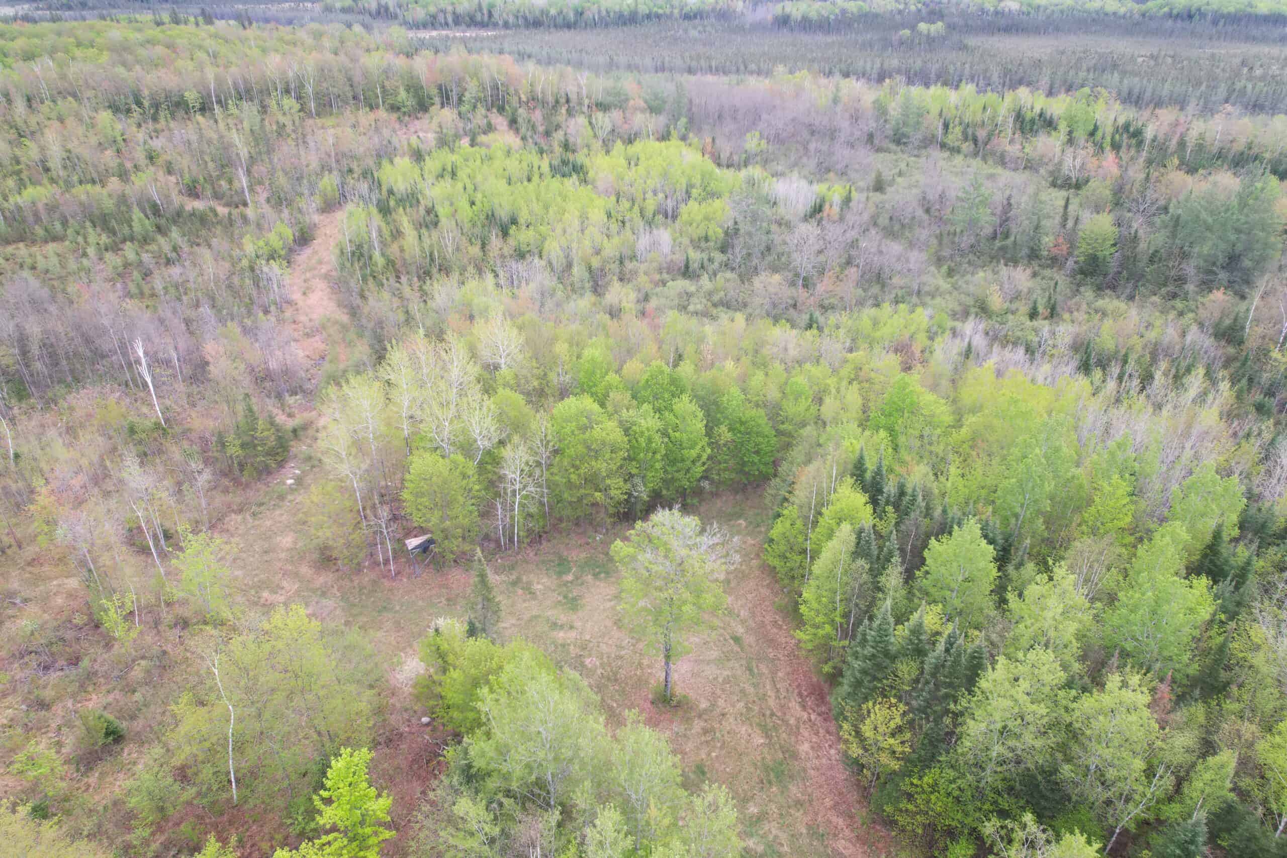 Hunting Land for Sale in Park Falls, Wisconsin