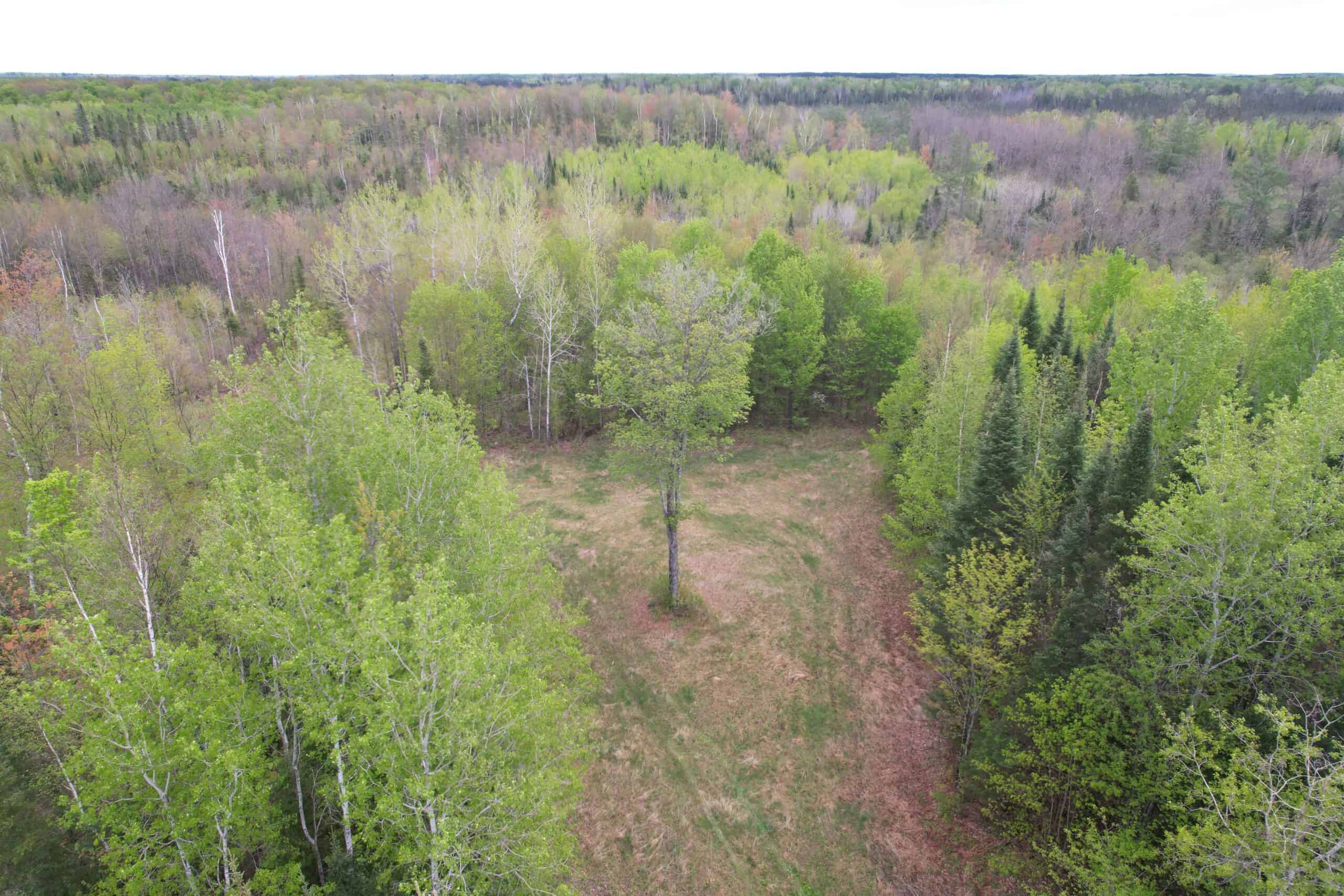 Hunting Land for Sale in Park Falls, Wisconsin