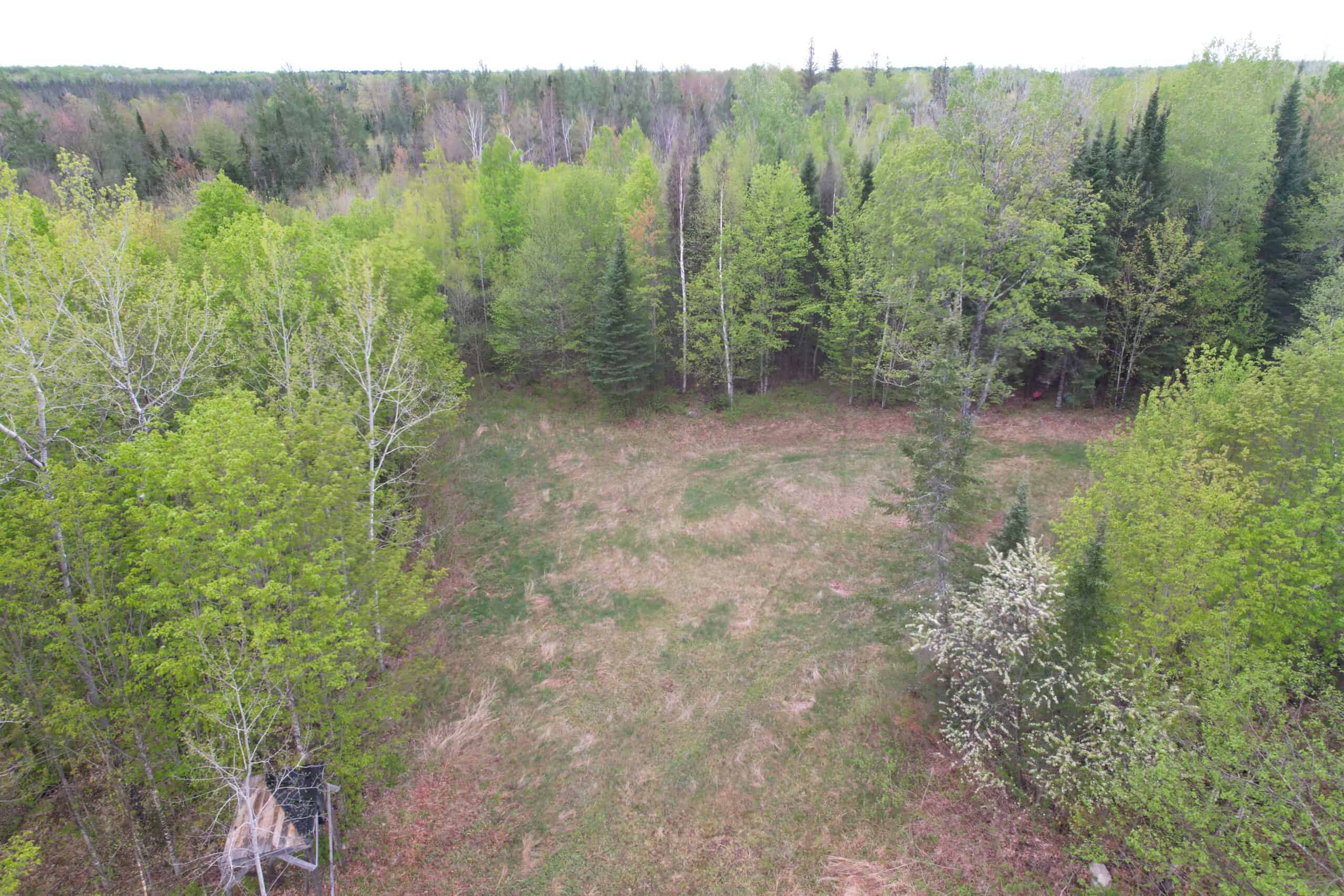 Hunting Land for Sale in Park Falls, Wisconsin