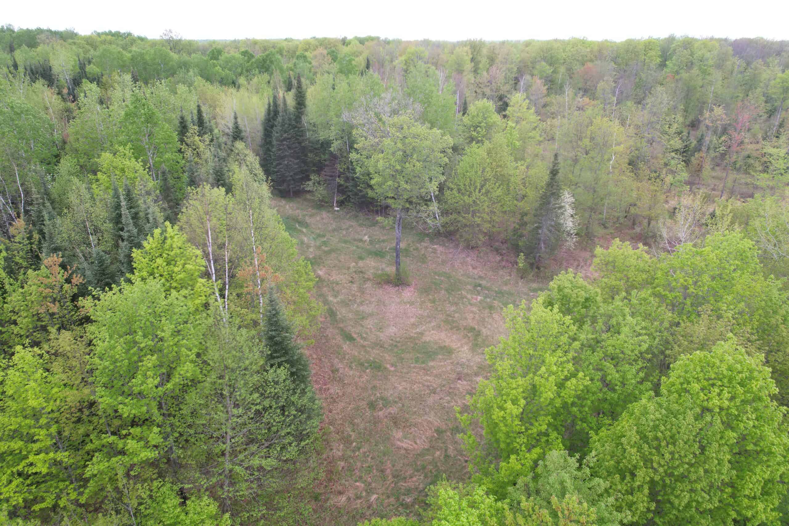 Hunting Land for Sale in Park Falls, Wisconsin